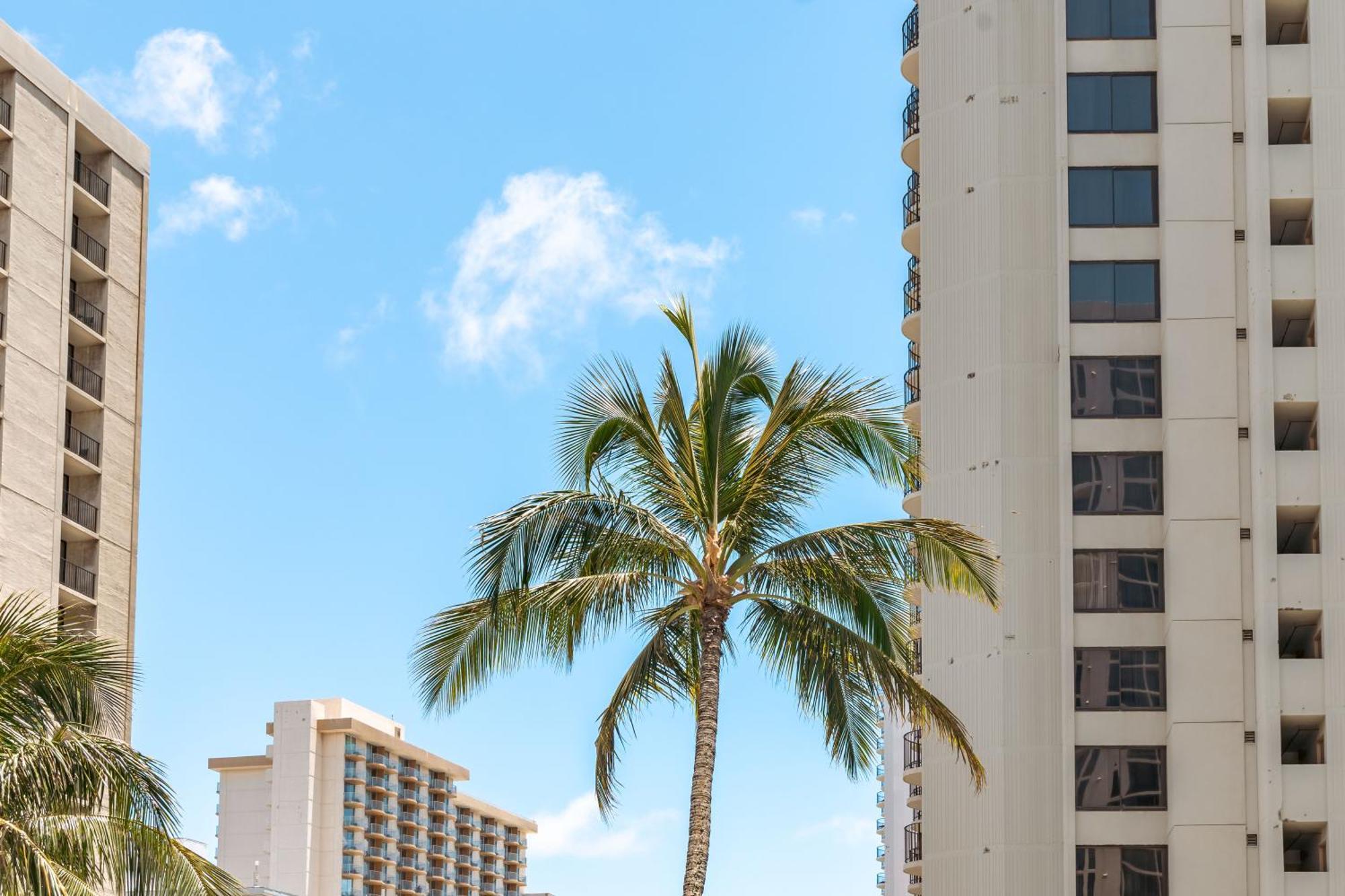 Beautiful 1Br, Steps To Waikiki Beach And Parking Honolulu Exteriör bild