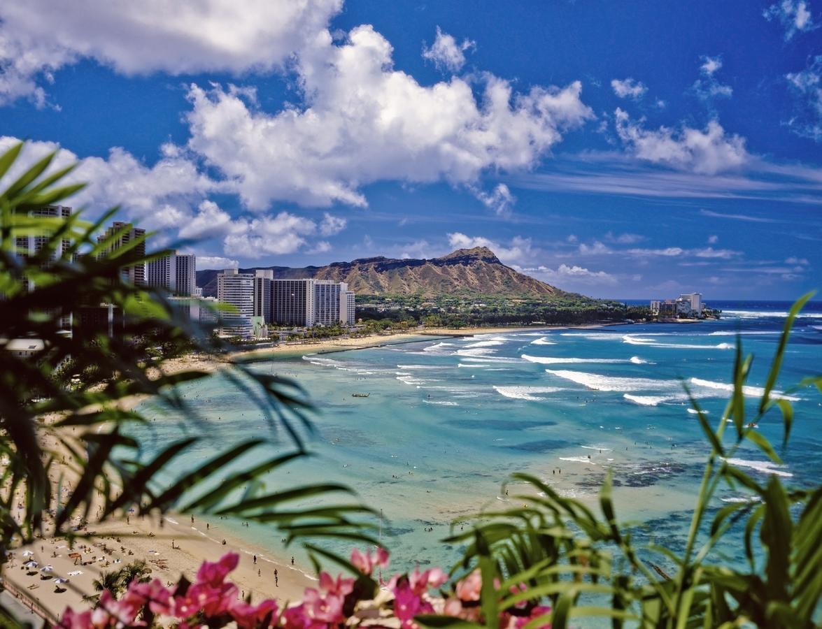 Beautiful 1Br, Steps To Waikiki Beach And Parking Honolulu Exteriör bild
